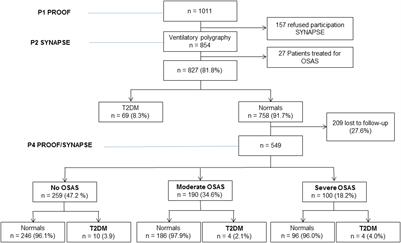 Insulin Resistance and Type 2 Diabetes in Asymptomatic Obstructive Sleep Apnea: Results of the PROOF Cohort Study After 7 Years of Follow-Up